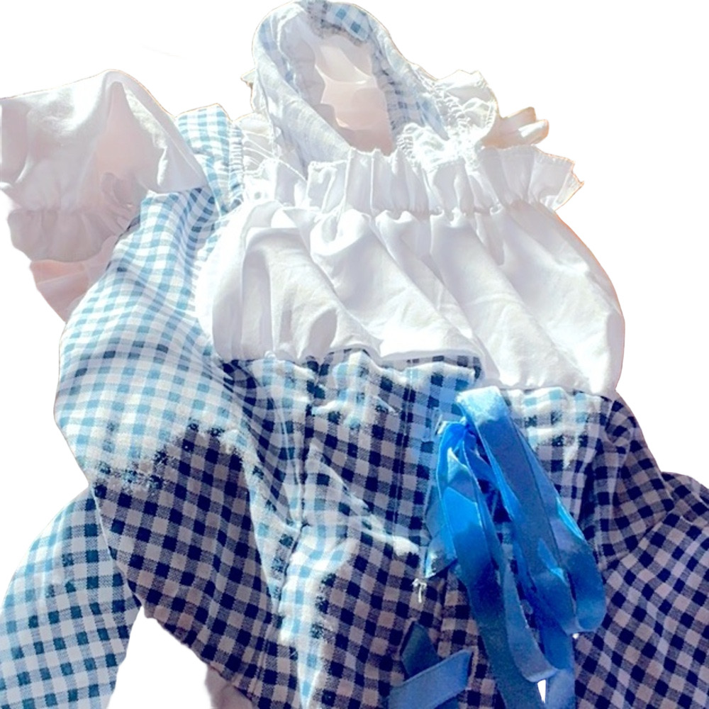 Dorothy Costume